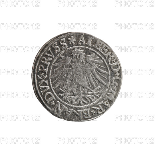 grosz; Vogelwaider (Vogelwaid), Eustachius, publisher; Decius, Jost Ludwik (fl. 1528–1535); Albrecht Hohenzollern (Prince of Prussia; 1490–1568). Iconography: eagles, male busts in armor, Hohenzollern coat of arms. Obverse: Prussian eagle, on its chest a crowned letter S; on the rim between pearl borders an inscription beginning with a rosette ALBER*D*G*MAR*BRAN*DVX*PRVSS. Reverse: male bust in armor, profile turned to the right, short hair, beard with sideburns; on the rim between the pearl borders an inscription beginning with the Hohenzollern coat of arms *IVSTVS*EX*FIDE*VIVIT*I538*. Date: 1538. Place: Ducal Prussia (1525–1701), Königsberg. Coin: grosz; diameter 23.9 mm; weight 1.81 g; axis 80°.