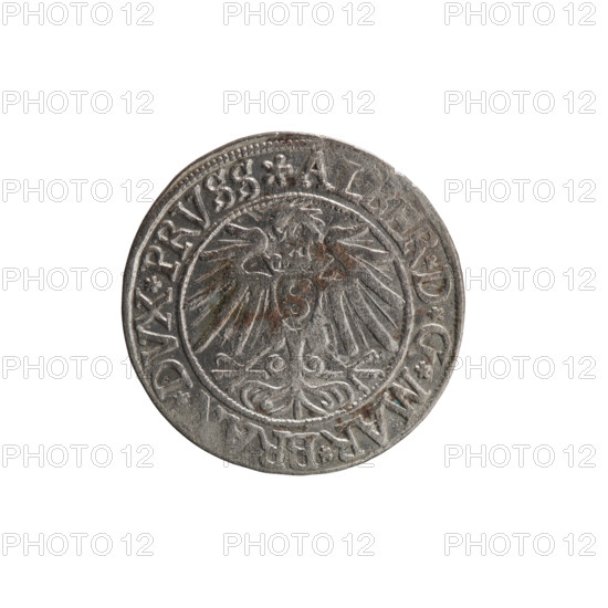 grosz; Vogelwaider (Vogelwaid), Eustachius, publisher; Decius, Jost Ludwik (fl. 1528–1535); eagles; Albrecht Hohenzollern (Prince of Prussia; 1490–1568) — iconography; Hohenzollern (coat of arms); male busts in armor. Obverse: Prussian eagle, on its chest a crowned letter S. On the rim between the pearl borders an inscription beginning with a rosette AL, ER*D*G*MAR*BR, *DVX*PRVSS. Reverse: male bust in armor, profile turned to the right, short hair, beard with sideburns. On the rim, between the pearl borders, an inscription beginning with the Hohenzollern coat of arms *IVSTVS*E, *FIDE*VIVIT* I538*. Date: 1538. Place: Ducal Prussia (1525–1701), Königsberg. Object: coin; diameter 23.4 mm; weight 2.02 g; axis 190°.