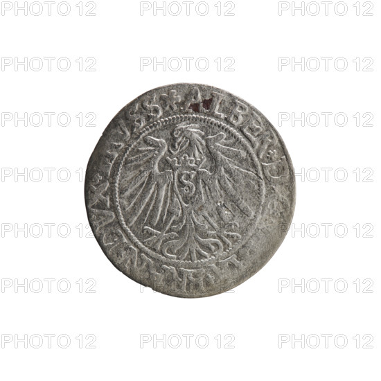 grosz, Vogelwaider (Vogelwaid), Eustachius, publisher, Decius, Jost Ludwik (fl. 1528-1535); eagles; Albrecht Hohenzollern (Prince of Prussia; 1490–1568) — iconography; Hohenzollern (coat of arms); male busts in armor. Obverse: Prussian eagle, on its chest a crowned letter S; on the rim between pearl borders an inscription beginning with a rosette ALBER*D*G, *BRAN*DVX*. Reverse: male bust in armor, profile turned to the right, short hair, beard with sideburns; on the rim between pearl borders an inscription beginning with the Hohenzollern coat of arms *IV, EX*FIDE*VIVIT*I539*. Date: 1539, Königsberg, Ducal Prussia (1525–1701). Coin: diameter 23.2 mm, weight 1.59 g, axis 135°.