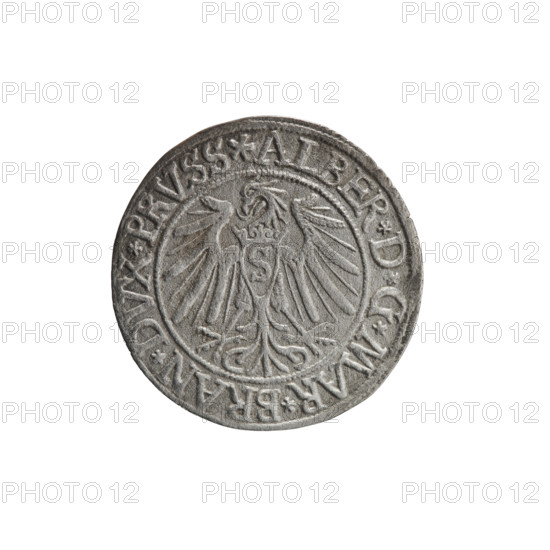 Obverse: Prussian eagle, on its chest a crowned letter S. On the rim between the pearl borders an inscription beginning with a rosette ALBER*D*G*MAR*BRAN*DVX*PRVSS. Reverse: Male bust in armor, profile turned to the right, short hair, beard with sideburns; on the rim, between the pearl borders, an inscription beginning with the Hohenzollern coat of arms: *IVSTVS*EX*FIDE*VIVIT*I539*. Maker/attribution: grosz; Vogelwaider (Vogelwaid), Eustachius, publisher, Decius, Jost Ludwik (fl. 1528–1535). Subject/person: Albrecht Hohenzollern (Prince of Prussia; 1490–1568). Date/place: 1539, Königsberg, Ducal Prussia (1525–1701). Type/material: coin. Measurements: diameter 23.6 mm; weight 1.63 g; axis 260°. Iconography: eagles, Hohenzollern coat of arms, male busts in armor.