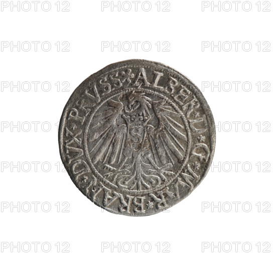 grosz; Vogelwaider (Vogelwaid), Eustachius, publisher; Decius, Jost Ludwik (fl. 1528–1535); eagles; Albrecht Hohenzollern (Prince of Prussia; 1490–1568) — iconography; Hohenzollern (coat of arms); male busts in armor. Obv.: Prussian eagle, on its chest a crowned letter S. On the rim between the pearl borders an inscription beginning with a rosette: ALBER*D*G*MAR*BRAN*DVX*PRVSS. Rv.: Male bust in armor, profile turned to the right, short hair, beard with sideburns. On the rim, between the pearl borders, an inscription beginning with the Hohenzollern coat of arms: *IVSTVS*EX*FIDE*VIVIT*I539*. Date: 1539. Place: Königsberg, Ducal Prussia (1525–1701). Object: coin; diameter 23.4 mm; weight 1.73 g; axis 225°.