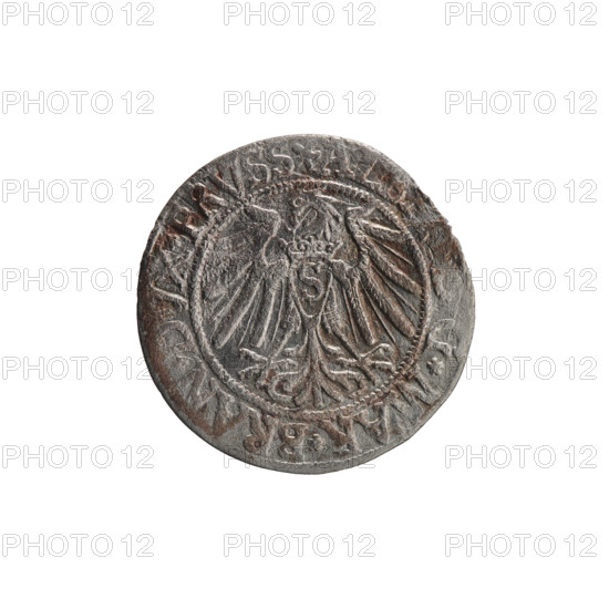 grosz; Vogelwaider (Vogelwaid), Eustachius, publisher; Decius, Jost Ludwik (fl. 1528–1535); eagles; Albrecht Hohenzollern (Prince of Prussia; 1490–1568) — iconography; Hohenzollern (coat of arms); male busts in armor. Obv.: Prussian eagle, on its chest a crowned letter S. On the rim between the pearl borders an inscription beginning with a rosette, AL, MAR*BRAN*DVX*PRVSS. Rev.: Male bust in armor, profile turned to the right, short hair, beard with sideburns. On the rim, between the pearl borders, an inscription beginning with the Hohenzollern coat of arms *IV, VS*EX*FIDE*VIVIT* I539*. Date: 1539, Königsberg, Ducal Prussia (1525–1701). Object: coin; diameter 23.0 mm; weight 1.80 g; axis 225°.