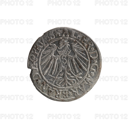grosz; Vogelwaider (Vogelwaid), Eustachius, publisher; Decius, Jost Ludwik (fl. 1528–1535); Albrecht Hohenzollern (Prince of Prussia; 1490–1568) — iconography: eagles, Hohenzollern (coat of arms), male busts in armor. Obverse: Prussian eagle, on its chest a crowned letter S; on the rim between the pearl borders an inscription beginning with a rosette: *D*G*MAR*BRAN*DVX*PRVSS*. Reverse: male bust in armor, profile turned to the right, short hair, beard with sideburns; on the rim, between the pearl borders, an inscription beginning with the Hohenzollern coat of arms: *IVSTVS*EX*FIDE*VIVIT*I539*. 1539, Königsberg, Ducal Prussia (1525–1701). Coin: diameter 23.7 mm, weight 1.94 g, axis 320°.