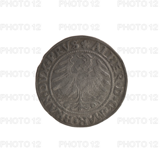 grosz, Straub (Strawb), Heinrich, publisher, Wille, Albrecht (fl. 1520-?), publisher, Decjusz, Jost Ludwik (fl. 1528-1535), R1 (rarity), eagles, Albrecht Hohenzollern (Prince of Prussia; 1490-1568) - iconography, Hohenzollern (coat of arms), male busts in armour, Lebki Wielkie hoard (numism.), rosettes, Aw. Prussian Eagle, on its breast a crowned letter S. Along the rim, between the pearly borders, an inscription beginning with a rosette ALBER*D*G*MAR*BRAN*DVX*PRVS Rw. Male bust in armor, profile turned to the right, short hair, beard with sideburns. Along the rim, between the pearly borders, an inscription beginning with the Hohenzollern coat of arms *IVSTVS*EX*FIDE*VIVIT*I53I*, 1531, Ducal Prussia (1525-1701), Königsberg, coin, coin: diameter 22.6 mm, weight 1.63 g, axis 140 degrees.