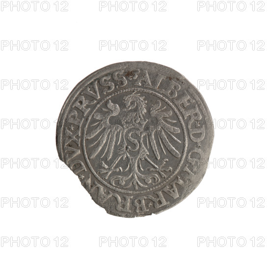 Albrecht Hohenzollern (Prince of Prussia; 1490–1568) — coin (1534), Ducal Prussia (1525–1701), Königsberg. Obverse: Prussian Eagle with on its breast a crowned letter S; along the rim between pearly borders an inscription beginning with a rosette ALBER*D*G*MAR*BRAN*DVX*PRVSS. Reverse: Male bust in armour, profile turned to the right, short hair, beard with sideburns; along the rim between pearly borders an inscription beginning with the Hohenzollern coat of arms shield *IVSTVS*EX*FIDE*VIVIT*I534*. Diameter 23.0 mm, weight 1.61 g, axis 225°. Makers/publishers: Grosz; Straub (Strawb), Heinrich; Wille, Albrecht (fl. 1520–?); Decjusz, Jost Ludwik (fl. 1528–1535). Iconography: eagles, rosettes, Hohenzollern coat of arms, male busts in armour; associated with Lebki Wielkie treasure (numism.).