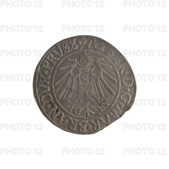 Obverse: Prussian eagle; on its chest a crowned letter S. In the rim between the pearl borders an inscription beginning with a trefoil, D*G*MAR*BRAN*DVX*PRVSS. Reverse: Male bust in armor in profile turned to the right, short hair, long beard with sideburns; Hohenzollern coat of arms and inscription on rim beginning with the coat of arms *IVSTVS*EX*FIDE*VIVIT*I54Z*. Depicts Albrecht Hohenzollern (1490–1568). Trefoils, Hohenzollern coat of arms, iconography. 1542, Ducal Prussia (1525–1701), Königsberg. Coin; diameter 24.2 mm, weight 1.57 g, axis 270°.