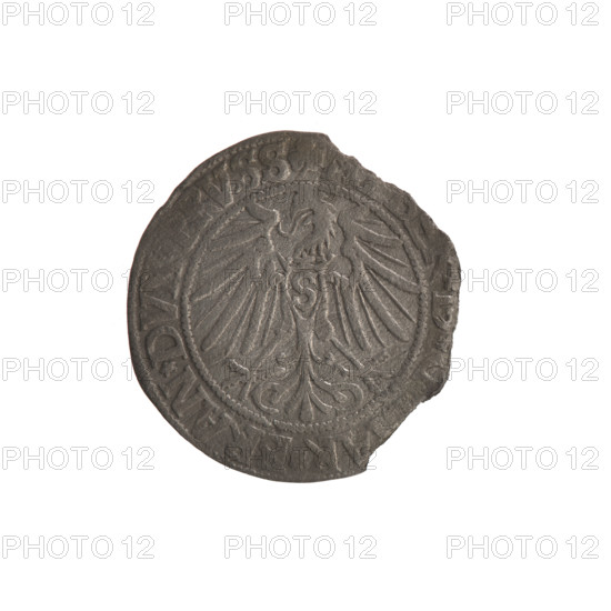 grosz, Straub (Strawb), Heinrich; Albrecht Hohenzollern (Prince of Prussia; 1490–1568) — iconography: eagles, Hohenzollern coat of arms, trefoils, male busts in armor; Lebki Wielkie treasure (numism); Obverse: Prussian eagle, on his chest a crowned letter S; in the rim between the pearl borders an inscription beginning with a trefoil, 'AR*BRAN*DV, VSS'. Reverse: male bust in armor in profile turned to the right, short hair, long beard with sideburns dividing the inner border; in the rim between the pearl borders an inscription beginning with the Hohenzollern coat of arms, 'S* *FIDE*VIVIT*I54Z*', dated 1542. Ducal Prussia (1525–1701), Königsberg; coin: diameter 22.8 mm, weight 1.33 g, axis 220°.