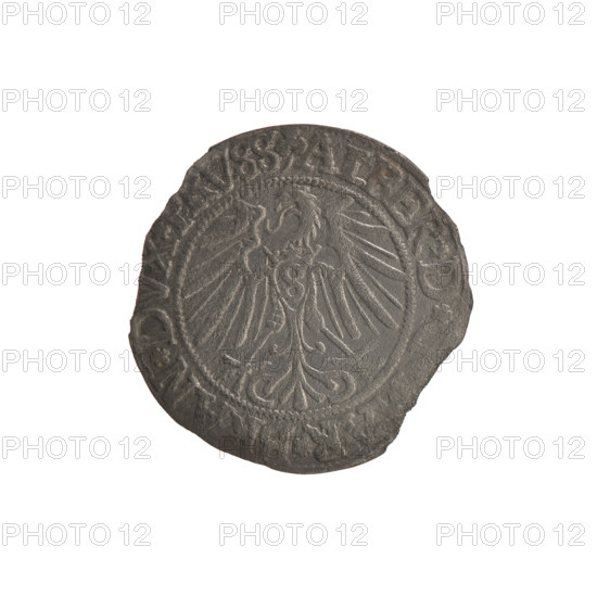Albrecht Hohenzollern (Prince of Prussia; 1490–1568) — iconography: eagles, trefoils, Hohenzollern coat of arms, male busts in armor. Obverse: Prussian eagle, on its chest a crowned letter S; in the rim between the pearl borders an inscription beginning with a trefoil ALBER*D*, AR*BRAN*DVX*PRVSS. Reverse: male bust in armor in profile to the right, short hair, long beard with sideburns dividing the inner border; in the rim between the pearl borders an inscription beginning with the Hohenzollern coat of arms*, VS*EX*FIDE*VIVIT*I54Z*. 1542, Ducal Prussia (1525–1701), Königsberg. Coin: diameter 23.2 mm, weight 1.23 g, axis 200°.