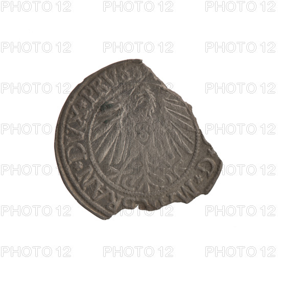 grosz; Albrecht Hohenzollern (Prince of Prussia; 1490–1568) — iconography: eagles, Hohenzollern coat of arms; Lebki Wielkie treasure (numism); obverse: Prussian eagle, on its chest a crowned letter S; on rim between pearl borders an inscription *G*M, RAN*DVX*PRVSS; reverse: male bust in armor in profile facing right, short hair, long beard with sideburns dividing the inner border; on rim between pearl borders an inscription beginning with the Hohenzollern coat of arms *IVSTVS *EX *FI, VIVI, . ]; dated 1541–1545, Königsberg, Ducal Prussia (1525–1701); coin: diameter 23.9 mm, weight 0.98 g, axis 315°.