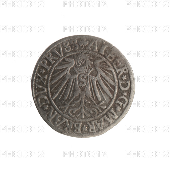grosz, Schilling, Maciej, R0 (rarity), Albrecht Hohenzollern (Prince of Prussia; 1490-1568) - iconography: eagles, trefoils, Hohenzollern coat of arms, male busts in armor; hoard from the village of Wsola (numism). Obv.: Prussian eagle, on its chest the crowned letter S; in the rim, between pearl-shaped borders, inscription beginning with a trefoil ALBER*D*G*MAR*BRAN*DVX*PRVSS. Rev.: male bust in armor in profile turned to the right; short hair, long beard with sideburns, dividing the inner border; in the rim, between the pearl-shaped borders, inscription beginning with the Hohenzollern shield *IVSTVS*EX*FIDE*VIVIT*I54I*. Date: 1541. Place: Königsberg, Ducal Prussia (1525–1701). Coin: diameter 23.9 mm, weight 1.85 g, axis 315°.