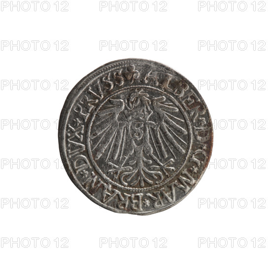 Albrecht Hohenzollern (Prince of Prussia; 1490–1568) — obverse: Prussian eagle, on its chest the crowned letter S; in the rim between pearl-shaped borders an inscription beginning with a trefoil: ALBER*D*G*MAR*BRAN*DVX*PRVSS. Reverse: male bust in armour in profile facing right; short hair, long beard with sideburns, dividing the inner border; in the rim between pearl-shaped borders an inscription beginning with the Hohenzollern shield: *IVSTVS*EX*FIDE*VIVIT*I54I*. 1541, Königsberg, Ducal Prussia (1525–1701). Coin; diameter 23.9 mm, weight 1.89 g, axis 270°. Iconography: eagles, Hohenzollern coat of arms, male busts in armour.
