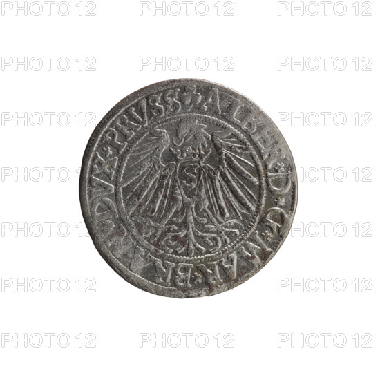 Albrecht Hohenzollern (Prince of Prussia; 1490–1568) — coin, 1541, Königsberg, Ducal Prussia (1525–1701). Obverse: Prussian eagle with crowned letter S on its chest; rim inscription beginning with a trefoil ALBER*D*G*MAR*BR, DVX*PRVSS. Reverse: male bust in armor in profile to the right; short hair, long beard with sideburns; rim inscription beginning with the Hohenzollern shield *IVSTVS*EX, IDE*VIVIT*I54I*. Iconography: eagles, Hohenzollern coat of arms, male busts in armor. Coin: diameter 23.8 mm, weight 1.91 g, axis 320°, rarity R0. Makers: grosz, Schilling, Maciej.