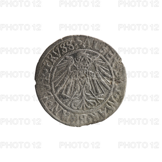 Albrecht Hohenzollern (Prince of Prussia; 1490–1568) — obverse: Prussian eagle, on its chest the crowned letter S; in the rim, between pearl-shaped borders, an inscription beginning with a trefoil: ALBER*D*G*MAR*BRAN*DVX*PRVSS. Reverse: male bust in armor in profile turned to the right; short hair, long beard with sideburns, dividing the inner border; in the rim, between pearl-shaped borders, an inscription beginning with the Hohenzollern shield: *IVSTVS*E, DE*VIVIT*I54I*. 1541, Königsberg, Ducal Prussia (1525–1701). Coin; diameter 23.6 mm; weight 1.63 g; axis 315°.