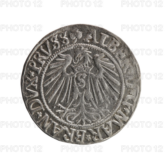 grosz, Straub (Strawb), Heinrich, R0 (rarity), Albrecht Hohenzollern (Prince of Prussia; 1490–1568) — iconography: eagles, male busts in armor, Hohenzollern coat of arms. Obverse: Prussian eagle, on its chest the crowned letter S; on the rim between pearl-shaped borders an inscription beginning with a trefoil ALBE, G*MAR*BRAN*DVX*PRVSS. Reverse: male bust in armor in profile turned to the right; short hair, long beard with sideburns, dividing the inner border; on the rim between pearl-shaped borders an inscription beginning with the Hohenzollern shield *IV, S*EX*FIDE*VIVIT*I54Z*. Date: 1542. Place: Ducal Prussia (1525–1701), Königsberg. Coin: diameter 23.3 mm, weight 1.99 g, axis 220°