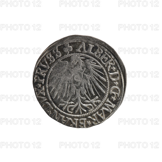 grosz, Straub (Strawb), Heinrich, R0 (rarity). Albrecht Hohenzollern (Prince of Prussia; 1490–1568) — iconography: eagles, Hohenzollern (coat of arms), male busts in armor. Obverse: Prussian eagle, on his chest the crowned letter S; in the rim between pearl-shaped borders an inscription beginning with a trefoil ALBER*D*G*MAR*BRAN*DVX*PRVSS. Reverse: male bust in armor in profile turned to the right; short hair, long beard with sideburns, dividing the inner border; in the rim between pearl-shaped borders an inscription beginning with the Hohenzollern shield *IVSTVS*EX*FIDE*VIVIT*I54Z*. 1542, Königsberg, Ducal Prussia (1525–1701). Coin: diameter 23.9 mm, weight 2.00 g, axis 280°.