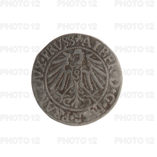 grosz; Straub (Strawb), Heinrich; R0 (rarity). Albrecht Hohenzollern (Prince of Prussia; 1490–1568) — iconography: eagles, trefoils, Hohenzollern coat of arms, male busts in armour. Obverse: Prussian eagle, on its chest a crowned letter S; in the rim between the pearl borders an inscription beginning with a trefoil ALBER*D*G*, AN*DVX*PRVSS. Reverse: male bust in armour in profile turned to the right; short hair, long beard with sideburns, separating the inner border; in the rim between the pearl borders an inscription starting with the Hohenzollern shield *, X*FIDE*VIVI, I54Z*, 1542. Ducal Prussia (1525–1701). Coin; diameter 23.3 mm; weight 1.88 g; axis 135°.