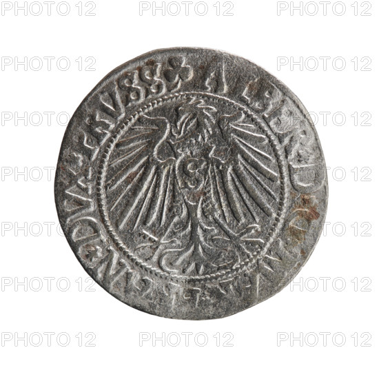 grosz, Straub (Strawb), Heinrich, R0 (rarity), eagles, Albrecht Hohenzollern (Prince of Prussia; 1490–1568) - iconography, Hohenzollern (coat of arms), male busts in armour. Obv.: Prussian eagle, on its chest the crowned letter S; in the rim between pearl-shaped borders an inscription beginning with a trefoil ALBER*D*G*MA, AN*DVX*PRVSS. Rv.: Male bust in armour in profile turned to the right; short hair, long beard with sideburns, dividing the inner border; in the rim between pearl-shaped borders an inscription beginning with the Hohenzollern shield *IVSTVS*EX*FIDE*VIVIT. 4Z*, 1542, Königsberg, Ducal Prussia (1525–1701), coin; diameter 23.3 mm, weight 1.83 g, axis 220°.