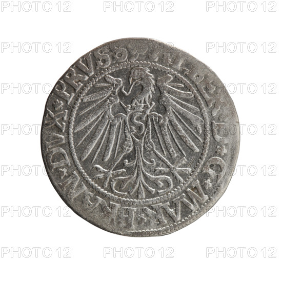 grosz; Straub (Strawb), Heinrich; R0 (rarity); eagles; Albrecht Hohenzollern (Prince of Prussia; 1490–1568) — iconography; Hohenzollern (coat of arms); male busts in armor. Obverse: Prussian eagle, on its chest the crowned letter S; in the rim between pearl-shaped borders an inscription beginning with a trefoil: *G*MAR*, N*DVX*PRVSS. Reverse: male bust in armor in profile turned to the right; short hair, long beard with sideburns, dividing the inner border; in the rim between pearl-shaped borders an inscription beginning with the Hohenzollern shield: *IV,*EX*FIDE*VIVIT*I54Z*; 1542; Königsberg, Ducal Prussia (1525–1701); coin; diameter 22.8 mm; weight 1.89 g; axis 280°.