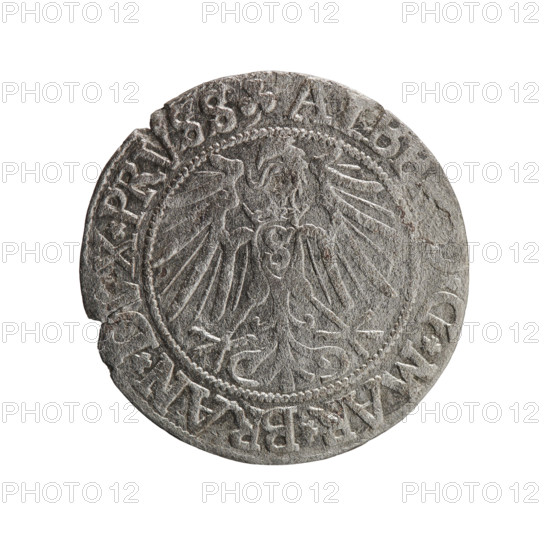 grosz, Straub (Strawb), Heinrich, R0 (rarity), eagles, Albrecht Hohenzollern (Prince of Prussia; 1490-1568) - iconography, male busts in armor, Hohenzollern (coat of arms). Obv. Prussian eagle, on his chest the crowned letter S. In the rim, between the pearl-shaped borders, an inscription beginning with a trefoil ALB, G*MAR*BRAN*DVX*PRVSS. Rv. Male bust in armor in profile turned to the right; short hair, long beard with sideburns, dividing the inner border. In the rim, between the pearl-shaped borders, an inscription beginning with the Hohenzollern shield *IVS, S*EX*FIDE*V, IT*I54Z*. 1542, Königsberg, Ducal Prussia (1525–1701). Coin: diameter 23.0 mm, weight 1.68 g, axis 20 degrees.