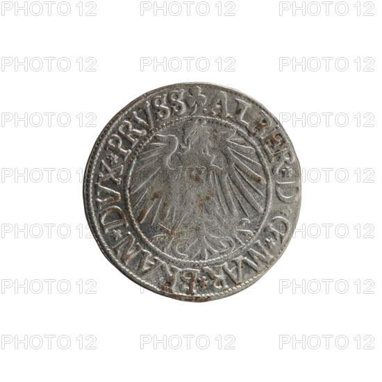 grosz, Straub (Strawb), Heinrich, R0 (rarity), Albrecht Hohenzollern (Prince of Prussia; 1490–1568) — iconography: eagles, Hohenzollern coat of arms, male busts in armor. Obverse: Prussian eagle, on his chest the crowned letter S; in the rim between pearl-shaped borders an inscription beginning with a trefoil ALBER*D*G*MAR*BRAN*DVX*PRVSS. Reverse: male bust in armor in profile turned to the right; short hair, long beard with sideburns, dividing the inner border; in the rim between pearl-shaped borders an inscription beginning with the Hohenzollern shield *IVSTVS*EX*FIDE*VIVIT*I54Z*. 1542, Königsberg, Ducal Prussia (1525–1701). Coin: diameter 23.6 mm, weight 1.98 g, axis 180°.