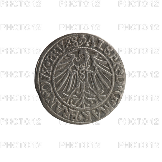 grosz, Straub (Strawb), Heinrich, R0 (rarity), eagles, Albrecht Hohenzollern (Prince of Prussia; 1490–1568) - iconography, Hohenzollern (coat of arms), male busts in armour, Obv. Prussian eagle, on his chest the crowned letter S. In the rim, between the pearl-shaped borders, an inscription beginning with a trefoil ALBER*D*G*MAR*BRAN*DVX*PRVSS. Rev. Male bust in armour in profile turned to the right; short hair, long beard with sideburns, dividing the inner border. In the rim, between the pearl-shaped borders, an inscription beginning with the Hohenzollern shield *IVSTVS*EX*FIDE*VIVIT*I54Z*. 1542, Königsberg, Ducal Prussia (1525–1701). Coin: diameter 23.3 mm, weight 1.85 g, axis 30 degrees.