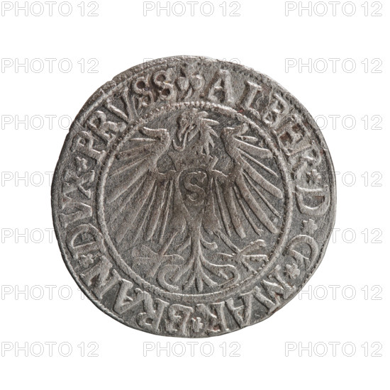 grosz, Straub (Strawb), Heinrich, R0 (rarity). Albrecht Hohenzollern (Prince of Prussia; 1490–1568) — iconography: eagles, Hohenzollern (coat of arms), male busts in armor. Obv.: Prussian eagle, on its chest the crowned letter S. In the rim, between pearl-shaped borders, an inscription beginning with a trefoil: ALBER*D*G*MAR*BRAN*DVX*PRVSS. Rev.: Male bust in armor in profile to the right; short hair, long beard with sideburns, dividing the inner border. In the rim, between pearl-shaped borders, an inscription beginning with the Hohenzollern shield: *IVSTVS*EX*FIDE*VIVIT*I54Z*. 1542. Ducal Prussia (1525–1701), Königsberg. Coin: diameter 23.7 mm, weight 1.84 g, axis 135°.
