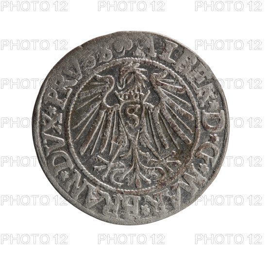 grosz, Straub (Strawb), Heinrich, R0 (rarity), Albrecht Hohenzollern (Prince of Prussia; 1490–1568) — iconography: eagles, male busts in armor, Hohenzollern coat of arms. Obverse: Prussian eagle, on its chest the crowned letter S; in the rim between pearl-shaped borders an inscription beginning with a trefoil ALBER*D*G*MAR*BRAN*DVX*PRVSS. Reverse: male bust in armor in profile to the right; short hair, long beard with sideburns, dividing the inner border; in the rim between pearl-shaped borders an inscription beginning with the Hohenzollern shield *IVSTVS*EX*FIDE*VIVIT*I54Z*. 1542; Ducal Prussia (1525–1701), Königsberg. Coin: diameter 23.6 mm, weight 1.95 g, axis 270°.