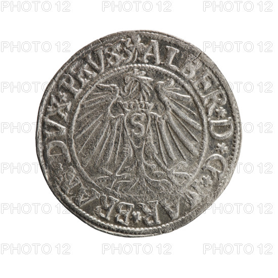 grosz, Straub (Strawb), Heinrich, R0 (rarity), eagles, Albrecht Hohenzollern (Prince of Prussia; 1490–1568) - iconography, Hohenzollern (coat of arms), male busts in armor, Obv. Prussian eagle, on its chest the crowned letter S. In the rim, between the pearl-shaped borders, an inscription beginning with a trefoil ALBER*D*G*, R*BRAN*DVX*PRVSS. Rv. Male bust in armor in profile turned to the right; short hair, long beard with sideburns, dividing the inner border. In the rim, between the pearl-shaped borders, an inscription beginning with the Hohenzollern shield *, STVS*EX*FIDE*VIVIT*I54Z*, 1542, Ducal Prussia (1525–1701), Königsberg, coin, diameter 24.0 mm, weight 1.88 g, axis 80 degrees