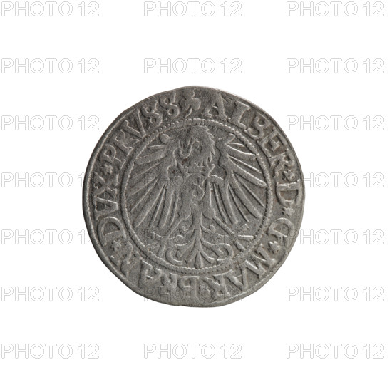 grosz, Straub (Strawb), Heinrich, R0 (rarity), eagles, Albrecht Hohenzollern (Prince of Prussia; 1490-1568) - iconography, Hohenzollern (coat of arms), male busts in armor, Obv. Prussian eagle, on its chest the crowned letter S. In the rim, between the pearl-shaped borders, an inscription beginning with a trefoil ALBER*D*G*MAR*BRAN*DVX*PRVSS. Rev. Male bust in armor in profile turned to the right; short hair, long beard with sideburns, dividing the inner border. In the rim, between the pearl-shaped borders, an inscription beginning with the Hohenzollern shield *IVSTVS*EX*FIDE*VIVIT*I54Z*. 1542, Ducal Prussia (1525-1701), Königsberg; coin: diameter 23.3 mm, weight 1.91 g, axis 350°.