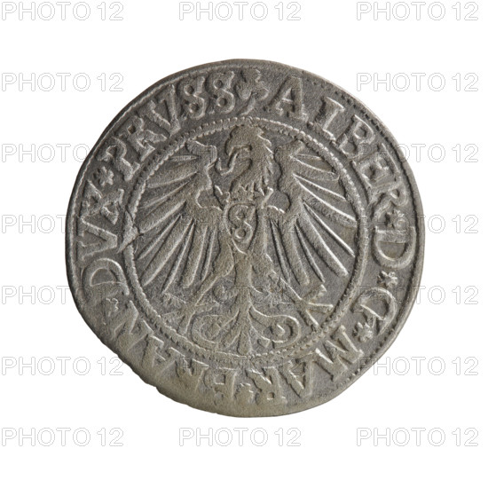 grosz, Straub (Strawb), Heinrich, R0 (rarity), eagles, Hohenzollern (coat of arms), Albrecht Hohenzollern (Prince of Prussia; 1490-1568) - iconography, male busts in armor, Obv. Prussian eagle, on his chest the crowned letter S. In the rim, between the pearl-shaped borders, an inscription beginning with a trefoil ALBER*D*G*MAR*BRAN*DVX*PRVSS. Rev. Male bust in armor in profile turned to the right; short hair, long beard with sideburns, dividing the inner border. In the rim, between the pearl-shaped borders, an inscription beginning with the Hohenzollern shield *IVSTVS*EX*FIDE*VIVIT*I54Z*, 1542, Ducal Prussia (1525-1701), Königsberg, coin; diameter 23.7 mm, weight 1.88 g, axis 20 degrees