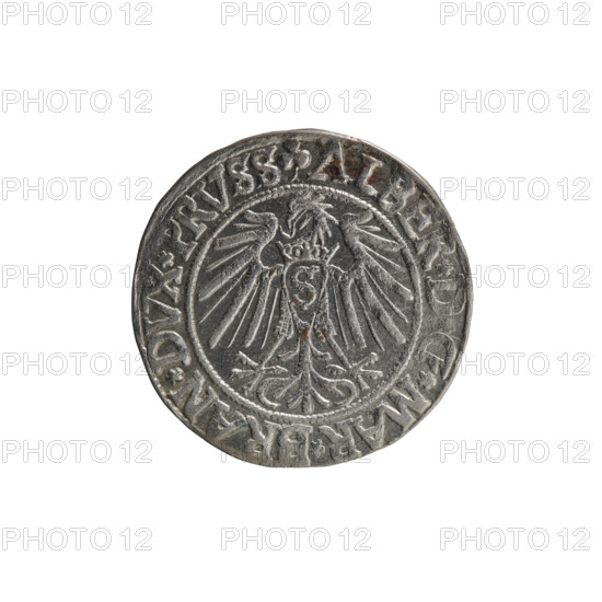 Struck 1542. Obverse: Prussian eagle with crowned letter S on its chest; rim inscription beginning with a trefoil ALBER*D*G*MAR*BRAN*DVX*PRVSS between pearl-shaped borders. Reverse: male bust in armor in profile to the right, short hair, long beard with sideburns; rim inscription beginning with the Hohenzollern shield *IVSTVS*EX*FIDE*VIVIT*I54Z*. Subject: Albrecht Hohenzollern (Prince of Prussia; 1490–1568). Iconography: eagles, Hohenzollern coat of arms, male busts in armor. Type: coin (Ducal Prussia, 1525–1701), Königsberg. Diameter 23.4 mm; weight 2.03 g; axis 135°. Maker: Heinrich Straub (Grosz/Strawb). Rarity: R0.