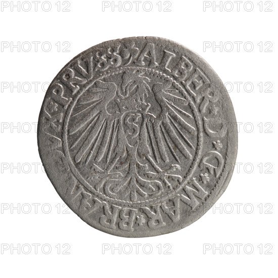 grosz, Straub (Strawb), Heinrich, R0 (rarity), Albrecht Hohenzollern (Prince of Prussia; 1490-1568) - iconography, eagles, Hohenzollern (coat of arms), male busts in armor. Obverse: Prussian eagle, on its chest the crowned letter S; in the rim, between the pearl-shaped borders, an inscription beginning with a trefoil ALBER*D*G*MAR*BRAN*DVX*PRVSS. Reverse: Male bust in armor in profile turned to the right; short hair, long beard with sideburns, dividing the inner border; in the rim, between the pearl-shaped borders, an inscription beginning with the Hohenzollern shield *IVSTVS*EX*FIDE*VIVIT*I54Z*. 1542, Ducal Prussia (1525–1701), Königsberg. Coin: diameter 23.6 mm, weight 1.82 g, axis 70 degrees.
