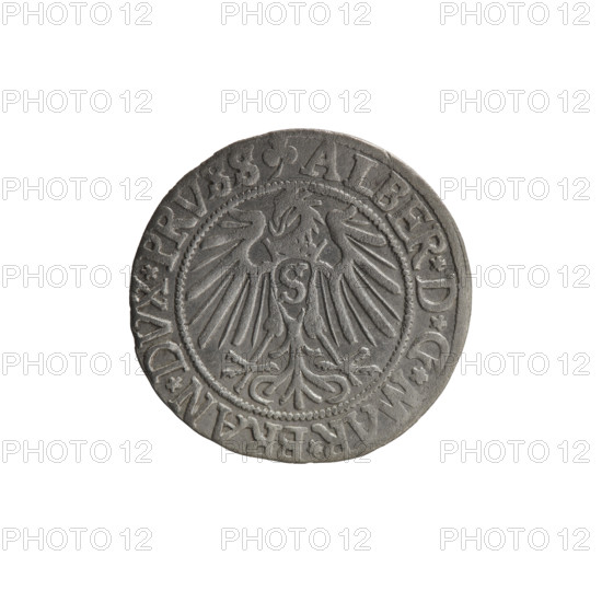 grosz, Straub (Strawb), Heinrich, R0 (rarity), Albrecht Hohenzollern (Prince of Prussia; 1490–1568) — iconography: eagles, Hohenzollern coat of arms, male busts in armor. Obverse: Prussian eagle; on its chest the crowned letter S. In the rim, between pearl-shaped borders, an inscription beginning with a trefoil: ALBER*D*G*MAR*BRAN*DVX*PRVSS. Reverse: male bust in armor in profile turned to the right; short hair, long beard with sideburns, dividing the inner border. In the rim, between pearl-shaped borders, an inscription beginning with the Hohenzollern shield: *IVSTVS*EX*FIDE*VIVIT*I54Z*. Date: 1542. Place: Ducal Prussia (1525–1701), Königsberg. Coin: diameter 23.5 mm; weight 1.92 g; axis 225°.