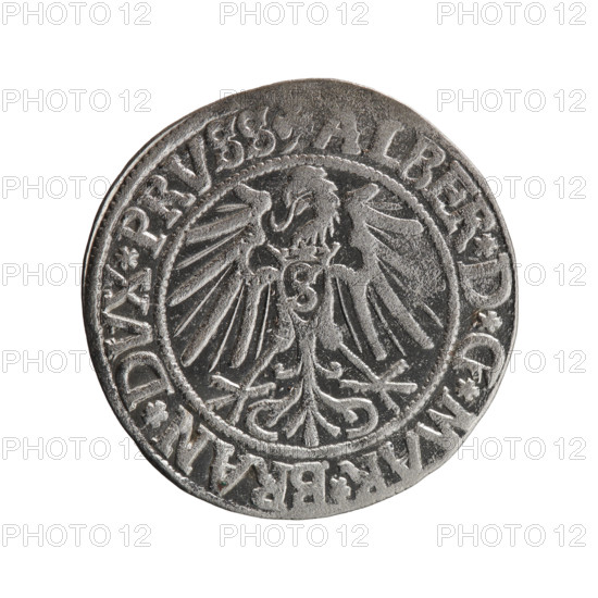 grosz, Straub (Strawb), Heinrich, R0 (rarity), eagles, Albrecht Hohenzollern (Prince of Prussia; 1490-1568) - iconography, male busts in armor, Hohenzollern (coat of arms). Obv.: Prussian eagle, on his chest the crowned letter S. In the rim, between the pearl-shaped borders, an inscription beginning with a trefoil ALBER*D*G*MAR*BRAN*DVX*PRVSS. Rev.: Male bust in armor in profile turned to the right; short hair, long beard with sideburns, dividing the inner border. In the rim, between the pearl-shaped borders, an inscription beginning with the Hohenzollern shield *IVSTVS*EX*FIDE*VIVIT*I54Z*. 1542, Ducal Prussia (1525-1701), Königsberg; coin: diameter 23.8 mm, weight 2.00 g, axis 135 degrees