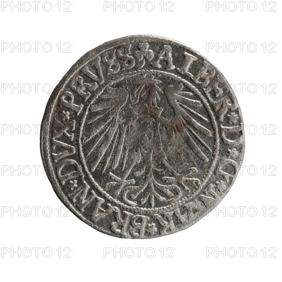 grosz, Straub (Strawb), Heinrich, R0 (rarity), Albrecht Hohenzollern (Prince of Prussia; 1490-1568) - iconography, eagles, Hohenzollern (coat of arms), male busts in armor, Obv. Prussian eagle. In the rim, between the beaded borders, an inscription beginning with a trefoil ALBER*D*G*, R*BRAN*DVX*PRVSS. Reverse: Male bust in armor in profile turned to the right; short hair, long beard with sideburns, dividing the inner border. In the rim, between the beaded borders, an inscription beginning with the Hohenzollern shield *IVSTVS*EX*FIDE*VIVIT* I54Z*, 1542, Ducal Prussia (1525-1701), Königsberg; coin: diameter 23.2 mm, weight 1.93 g, axis 30 degrees