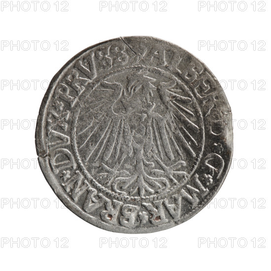 grosz, Straub (Strawb), Heinrich, R0 (rarity), eagles, Hohenzollern (coat of arms), Albrecht Hohenzollern (Prince of Prussia; 1490-1568) - iconography, male busts in armor, Obv. Prussian eagle, on his chest the crowned letter S. In the rim, between the pearl-shaped borders, an inscription beginning with a trefoil ALBER, D*G*MAR*BRAN*DVX*PRVSS Rev. Male bust in armor in profile turned to the right; short hair, long beard with sideburns, dividing the inner border. In the rim, between the pearl-shaped borders, an inscription beginning with the Hohenzollern shield *IVSTV, *EX*FIDE*VIVIT*I54Z*, 1542, Ducal Prussia (1525-1701), Königsberg, coin, diameter 23.5 mm, weight 2.03 g, axis 270 degrees