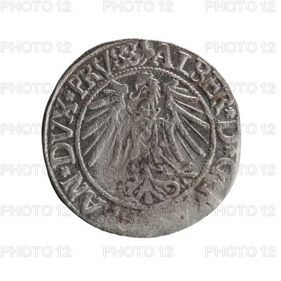grosz, Straub (Strawb), Heinrich, R0 (rarity), Albrecht Hohenzollern (Prince of Prussia; 1490–1568) — iconography: eagles, Hohenzollern (coat of arms), male busts in armor. Obverse: Prussian eagle, on its chest the crowned letter S; in the rim, between pearl-shaped borders, an inscription beginning with a trefoil ALBER*D*G, AN*DVX*PRVSS. Reverse: male bust in armor in profile turned to the right; short hair, long beard with sideburns, dividing the inner border; in the rim, between pearl-shaped borders, an inscription beginning with the Hohenzollern shield *IVSTVS*EX*, IVIT*I54Z*. 1542. Ducal Prussia (1525–1701), Königsberg. Coin: diameter 23.1 mm, weight 1.94 g, axis 350°.