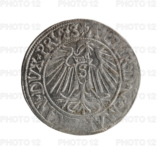 grosz, Straub (Strawb), Heinrich, R0 (rarity), Albrecht Hohenzollern (Prince of Prussia; 1490–1568) — iconography: eagles, Hohenzollern coat of arms, male busts in armor. Obverse: Prussian eagle with crowned letter S on its chest; in rim between pearl-shaped borders an inscription beginning with a trefoil ALBER*D*G*MA, N*DVX*PRVSS. Reverse: male bust in armor in profile to the right; short hair, long beard with sideburns; dividing inner border; in rim between pearl-shaped borders an inscription beginning with the Hohenzollern shield *IVST, X*FIDE*VIVIT*I54Z*; 1542. Ducal Prussia (1525–1701), Königsberg; coin: diameter 24.0 mm, weight 1.97 g, axis 45 degrees.