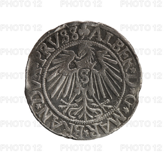 Albrecht Hohenzollern (Prince of Prussia; 1490–1568) — iconography: eagles, Hohenzollern coat of arms, male busts in armor. Obverse: Prussian eagle with crowned letter S on its chest; rim inscription beginning with a trefoil ALBER*D*G*MAR*BRAN*D, PRVSS Rw. Reverse: male bust in armor in profile turned right; short hair, long beard with sideburns; rim inscription beginning with the Hohenzollern shield *IV, TVS*EX*FIDE*VI, IT*I54Z*. Date: 1542. Issued in Ducal Prussia (1525–1701), Königsberg. Coin: diameter 23.4 mm, weight 1.93 g, axis 45°. Struck by Heinrich Straub (Grosz); rarity R0.