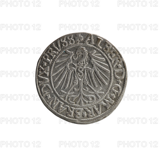 Albrecht Hohenzollern (Prince of Prussia; 1490–1568) — coin, 1542, Ducal Prussia (1525–1701), Königsberg. Obverse: Prussian eagle, on its chest the crowned letter S; in the rim between pearl-shaped borders an inscription beginning with a trefoil ALBER*D*G*MAR*BRAN*DVX*PRVSS. Reverse: male bust in armor in profile turned to the right; short hair, long beard with sideburns; in the rim between pearl-shaped borders an inscription beginning with the Hohenzollern shield *IVSTVS*EX*FIDE*VIVIT*I54Z*. Maker: Grosz, Straub (Strawb), Heinrich. Rarity: R0. Iconography: eagles, Hohenzollern coat of arms, male busts in armor. Coin diameter 23.5 mm, weight 1.93 g, axis 280°.
