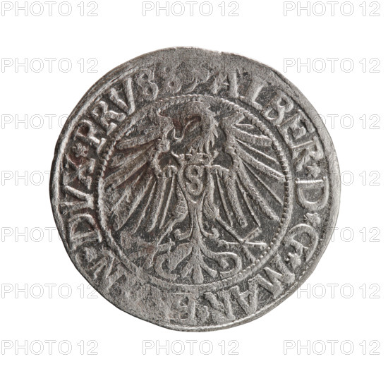 grosz; Straub (Strawb); Heinrich; R0 (rarity); Hohenzollern (coat of arms); male busts in armor; Albrecht Hohenzollern (Prince of Prussia; 1490–1568) — iconography; eagles; Obv. Prussian eagle, on its chest the crowned letter S. In the rim, between the pearl-shaped borders, an inscription beginning with a trefoil: LBER*D*G*MAR*B *DVX*PRVSS. Male bust in armor in profile turned to the right; short hair, long beard with sideburns, dividing the inner border. In the rim, between the pearl-shaped borders, an inscription beginning with the Hohenzollern shield: STVS*EX* VIVIT*1542*; 1542; Ducal Prussia (1525–1701); Königsberg; coin; diameter 24.0 mm; weight 1.94 g; axis 160 degrees