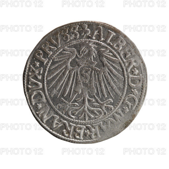 grosz, Straub (Strawb), Heinrich, R0 (rarity), Albrecht Hohenzollern (Prince of Prussia; 1490–1568) — iconography: eagles, Hohenzollern (coat of arms), male busts in armor. Obv.: Prussian eagle, on its chest the crowned letter S; in the rim, between pearl-shaped borders, an inscription beginning with a trefoil ALBER*D*G*MAR*BRAN*DVX*PRVSS. Rev.: male bust in armor in profile to the right; short hair, long beard with sideburns, dividing the inner border; in the rim, between pearl-shaped borders, an inscription beginning with the Hohenzollern shield *IVSTV, X*FIDE*VIVIT*I54Z*. 1542. Ducal Prussia (1525–1701), Königsberg. Coin: diameter 23.6 mm, weight 1.98 g, axis 130°.
