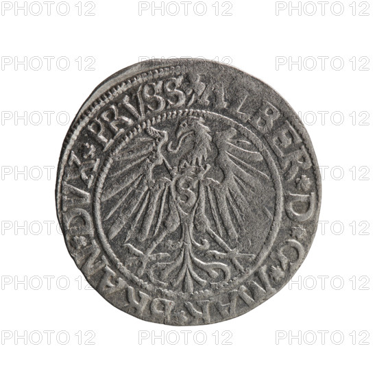grosz; Schilling; Maciej; R0 (rarity); eagles; Albrecht Hohenzollern (Prince of Prussia; 1490–1568) — iconography; Hohenzollern (coat of arms); male busts in armor. Obv.: Prussian eagle, on his chest the crowned letter S. In the rim, between the pearl-shaped borders, an inscription beginning with a trefoil ALBER*D*G*MAR*BRAN*DVX*PRVSS. Rev.: Male bust in armor in profile turned to the right; short hair, long beard with sideburns, dividing the inner border. In the rim, between the pearl-shaped borders, an inscription beginning with the Hohenzollern shield *IVSTVS*EX*FIDE*VI; 1543. Ducal Prussia (1525–1701), Königsberg. Coin: diameter 23.2 mm, weight 1.95 g, axis 80°.