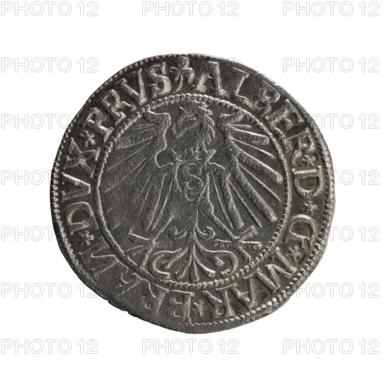 grosz, Schilling, Maciej, R0 (rarity), eagles, Albrecht Hohenzollern (Prince of Prussia; 1490–1568) — iconography, Hohenzollern (coat of arms), male busts in armour. Obv.: Prussian eagle, on its chest the crowned letter S; in the rim, between the pearl borders, an inscription beginning with a trefoil ALBER*D*G*MAR*BRAN*DVX*PRVS. Rev.: Male bust in armour in profile to the right; short hair, long beard with sideburns, separating the inner border; on the rim between the pearl borders an inscription starting with the Hohenzollern shield *IVSTVS*EX*FIDE*VIVIT* I543. Date: 1543. Place: Ducal Prussia (1525–1701), Königsberg. Coin: diameter 23.6 mm, weight 1.97 g, axis 45°.