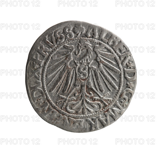 grosz, Schilling, Maciej, R0 (rarity), Albrecht Hohenzollern (Prince of Prussia; 1490–1568) — iconography: eagles, Hohenzollern (coat of arms), male busts in armor. Obverse: Prussian eagle, on his chest the crowned letter S; in the rim between pearl-shaped borders an inscription beginning with a trefoil ALBER*D*G*MAR, DVX*PRVSS. Male bust in armor in profile turned to the right; short hair, long beard with sideburns, dividing the inner border. In the rim between the pearl-shaped borders an inscription beginning with the Hohenzollern shield *IVSTVS*EX*FIDE*VI. 1543. Ducal Prussia (1525–1701), Königsberg. Coin: diameter 23.1 mm, weight 1.93 g, axis 225°.