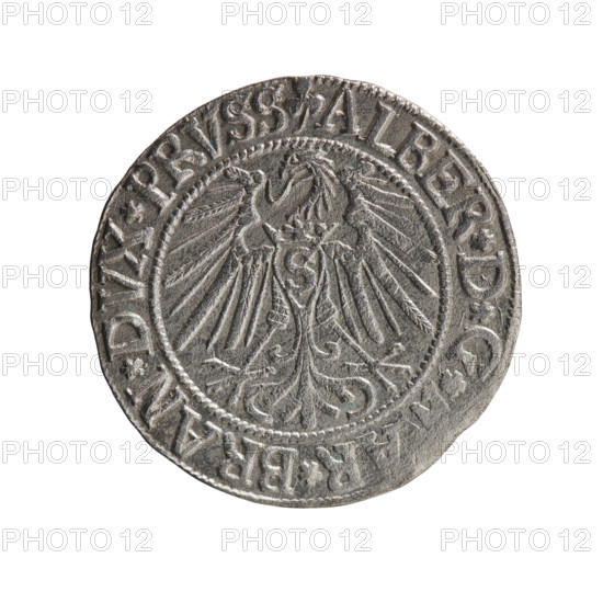 grosz, Schilling, Maciej, R0 (rarity), eagles, Albrecht Hohenzollern (Prince of Prussia; 1490–1568) - iconography, male busts in armor, Hohenzollern (coat of arms). Obverse: Prussian eagle, on its chest the crowned letter S. In the rim, between the pearl-shaped borders, an inscription beginning with a trefoil ALBER*D*G*, AR*BRAN*DVX*PRVSS. Reverse: Male bust in armor in profile turned to the right; short hair, long beard with sideburns, dividing the inner border. In the rim, between the pearl-shaped borders, an inscription beginning with the Hohenzollern shield *IVS, S*EX*FIDE*VIVIT*I543*. Date: 1543. Place: Ducal Prussia (1525–1701), Königsberg. Coin: diameter 23.0 mm, weight 2.07 g, axis 150 degrees.