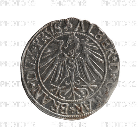 grosz, Schilling, Maciej, R0 (rarity), Albrecht Hohenzollern (Prince of Prussia; 1490–1568) — iconography: Hohenzollern (coat of arms); male busts in armour; eagles. Obverse: Prussian eagle, on its chest the crowned letter S; in the rim between pearl-shaped borders an inscription beginning with a trefoil ALBER*D*, AR*BRAN*DVX*PRVS. Reverse: male bust in armour in profile turned to the right; short hair, long beard with sideburns, dividing the inner border; in the rim between pearl-shaped borders an inscription beginning with the Hohenzollern shield *IVSTVS*EX*FIDE, IVIT*I543*. Date: 1543. Place: Ducal Prussia (1525–1701), Königsberg. Coin: diameter 23.7 mm, weight 1.99 g, axis 0°.