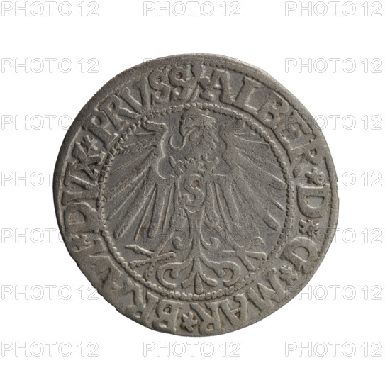 grosz, Schilling, Maciej, R0 (rarity), Albrecht Hohenzollern (Prince of Prussia; 1490–1568) - iconography, eagles, male busts in armor, Hohenzollern (coat of arms). Obv.: Prussian eagle, on its chest the crowned letter S; in the rim between pearl-shaped borders an inscription beginning with a trefoil (mirror-image N) ALBER*D*G*MAR*BRAN*DVX*PRVSS. Rev.: Male bust in armor in profile turned to the right; short hair, long pointed beard with sideburns, dividing the inner border; in the rim between pearl-shaped borders an inscription beginning with the Hohenzollern shield *IVSTVS*EX*FIDE*VIVIT*I544*. 1544, Ducal Prussia (1525–1701), Königsberg. Coin: diameter 23.6 mm, weight 1.90 g, axis 315°.