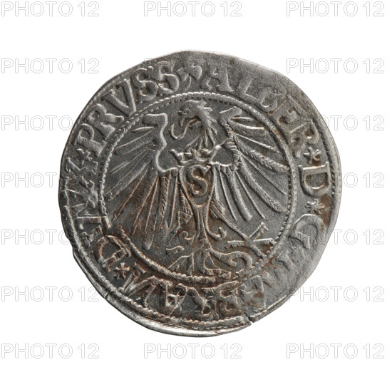 grosz, Schilling, Maciej, R3 (rarity), Albrecht Hohenzollern (Prince of Prussia; 1490–1568) - iconography, eagles, Hohenzollern (coat of arms), male busts in armor. Obv.: Prussian eagle, on its chest the crowned letter S. On the rim, between the pearl-shaped borders, an inscription beginning with a trefoil (mirror-image N) ALBER*D*G, RAN*DVVX*PRVSS. Rev.: Male bust in armor in profile to the right; short hair, long beard with sideburns, dividing the inner border. On the rim, between the pearl-shaped borders, the inscription , TVS*EX*, IDE*VIVIVIT*I544. 1544. Ducal Prussia (1525–1701), Königsberg. Coin: diameter 23.5 mm, weight 1.97 g, axis 200°.