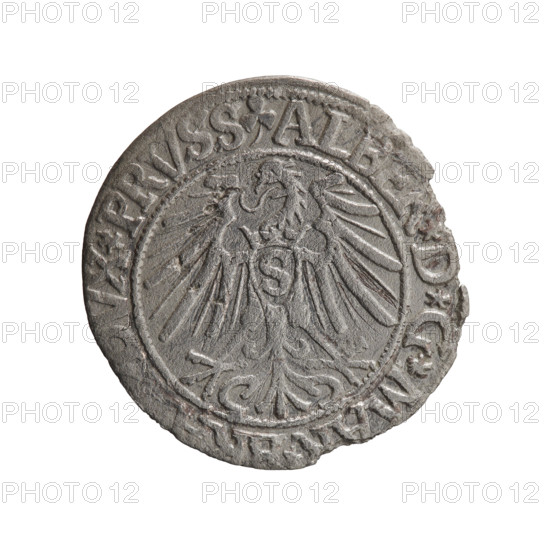 grosz; publisher: Schilling, Maciej; engraver: Decjusz, Jost Ludwik (fl. 1528–1535); rarity R0; subject: eagles; iconography: Albrecht Hohenzollern (Prince of Prussia; 1490–1568); Hohenzollern coat of arms; obverse: Prussian eagle with crowned letter S on its chest; rim inscription beginning with a trefoil (mirror-image N) ALBER*D*G*MAR*BRAN*DVX*PRVSS; reverse: male bust in armour in profile right; short hair, long pointed beard with sideburns, dividing the inner rim; rim inscription beginning with the Hohenzollern shield *IVSTVS*EX*FIDE*VIVIT*I544*; date: 1544; place: Ducal Prussia (1525–1701), Königsberg; object: coin (grosz); diameter 23.0 mm; weight 1.68 g; axis 200 degrees.